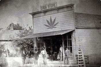 Idaho cannabis history